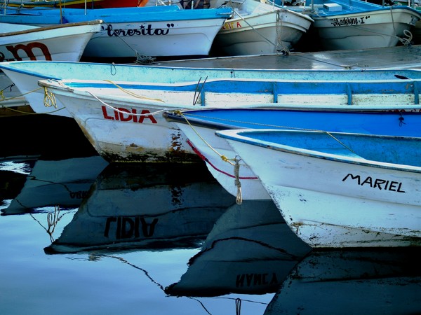 Ladies Of The Harbor