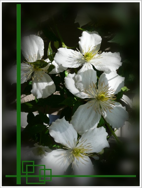 The Essence Of Spring