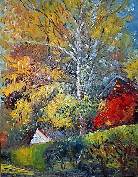Fall colours in our backyard
