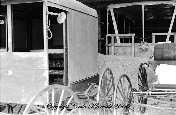 Amish Buggies