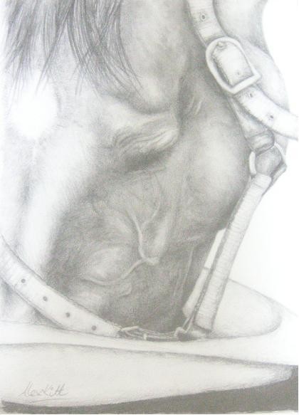 Head in a Bucket