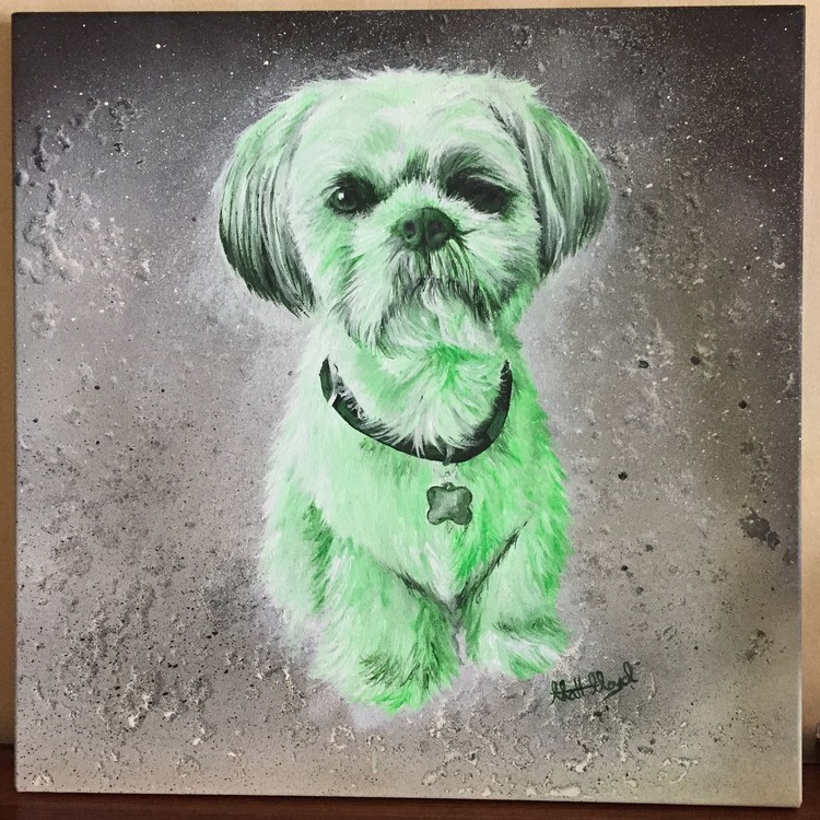 Chester (green) Shih Tzu