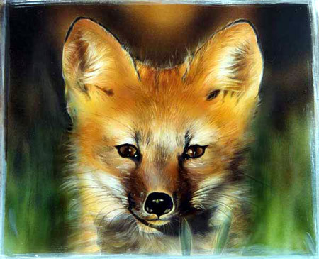 Fox SOLD