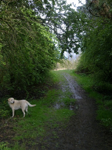 leading the way