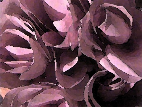 BLOSSOMS OF SPRING
