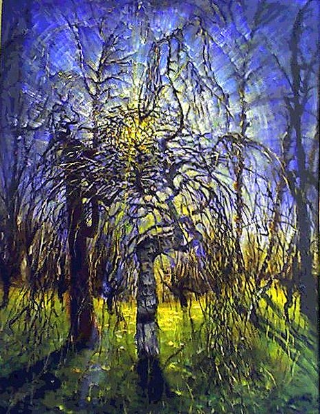 Birch Tree