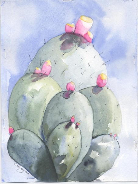 Prickly Pear Cactus