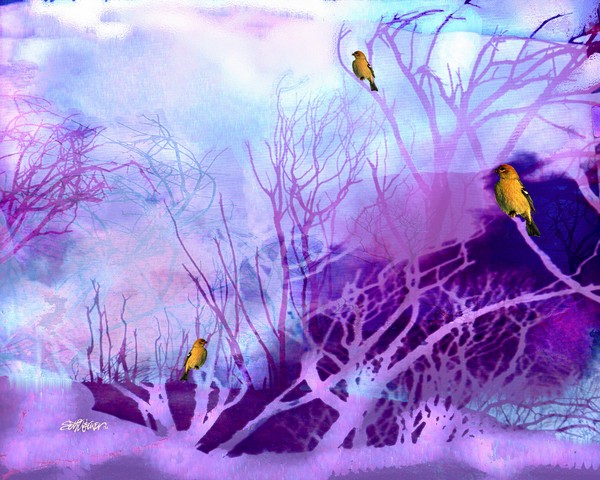 Winter of Our Discontent