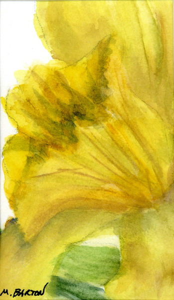 Daffy
