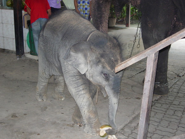 Thailand