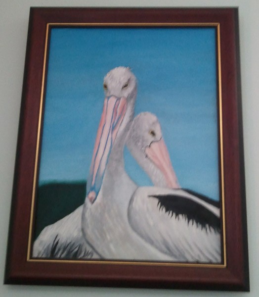 MY PELICANS
