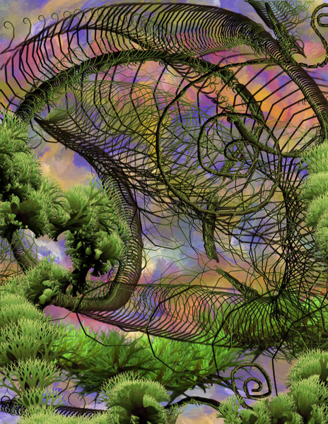 The Nander forests of planet Crowlar