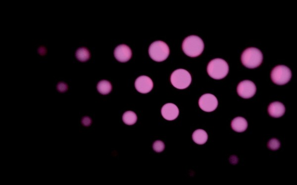 Polka dot