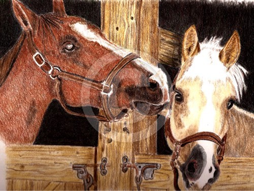 Two Horses In A Barn