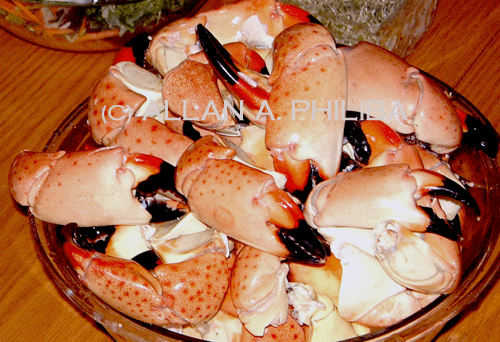 Stone crab claws