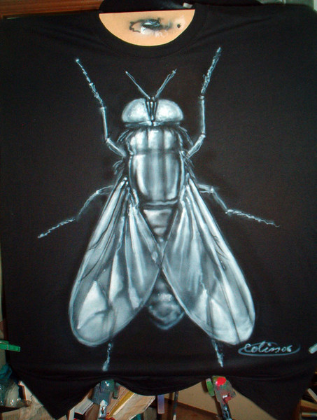 FLY