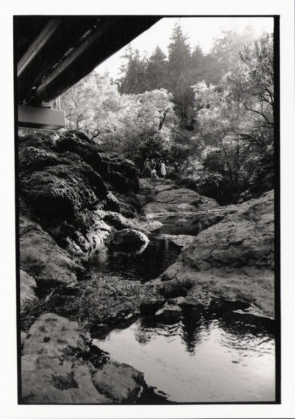 Ink Wells