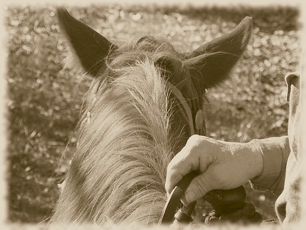 Gentle Hand