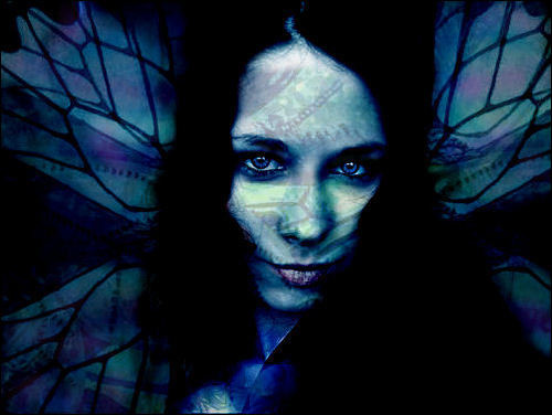 Dark Fairy