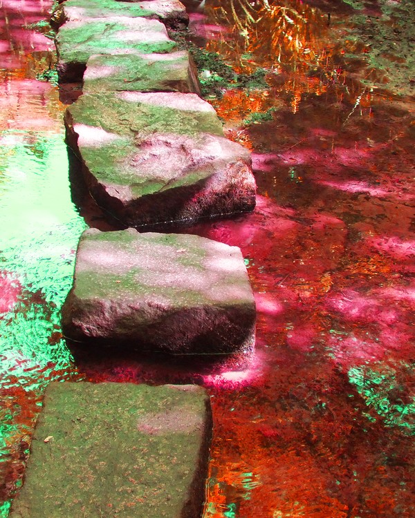 Stepping stones 