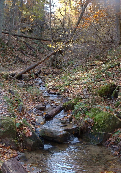 Lost Path