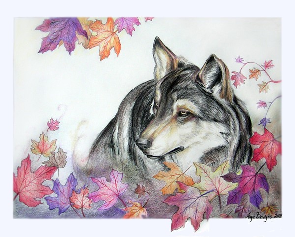 Wolf