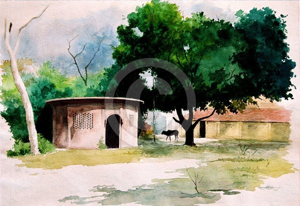 Landscape
