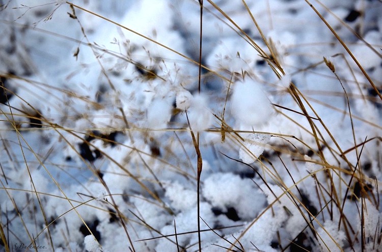 Snow for cooling down.