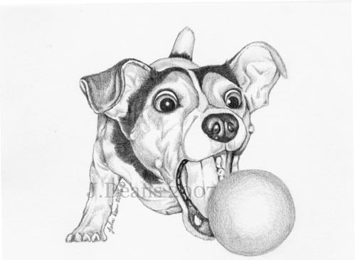 The BALL