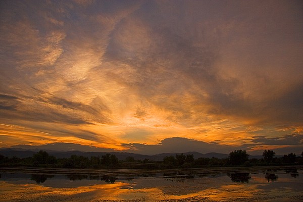 Restless Sky