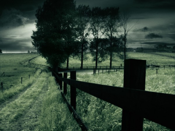 My way...