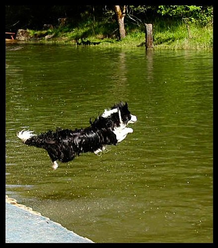 Air Laura