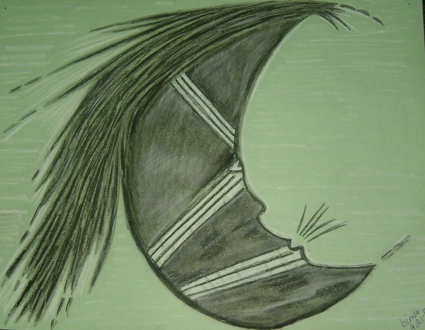Indian Moon