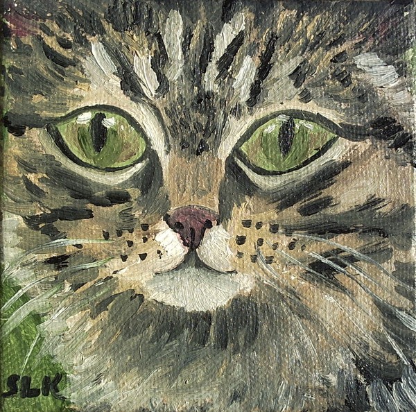 Sweet Faced Tabby