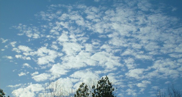Winter Blue Sky