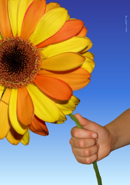 For you