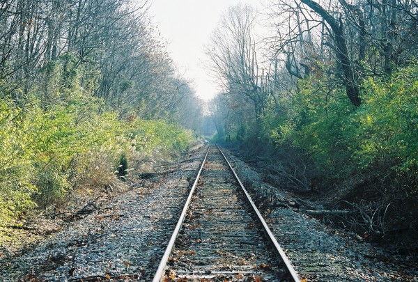 806 - Slow Train Not Coming...