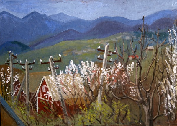 Springtime, View from my window