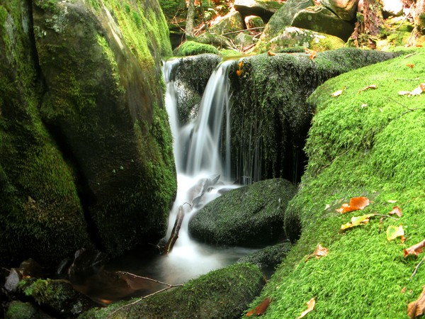 Mossy Falls