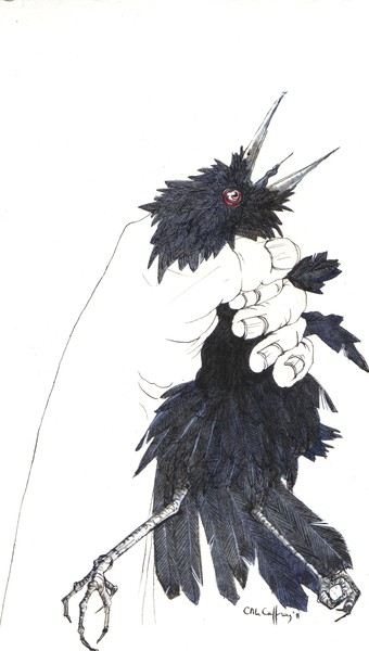 choked crow