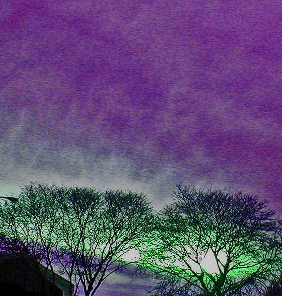 PURPLE NIGHTS 