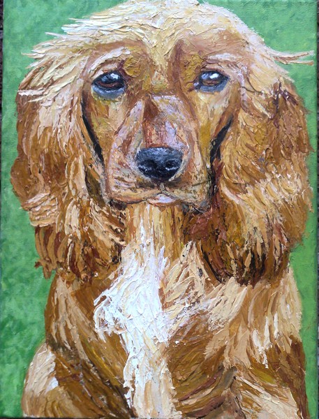 spaniel