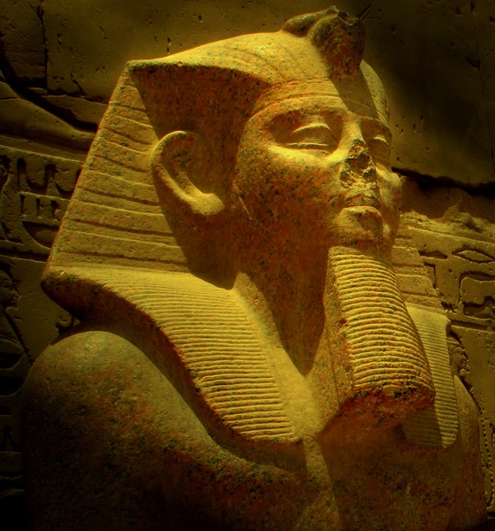 King Tut 