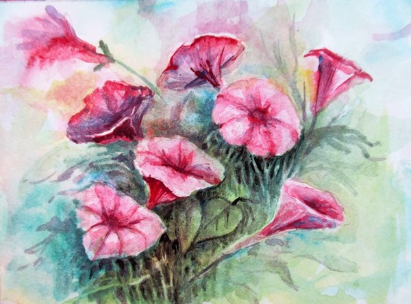 Bindweed flowers aceo