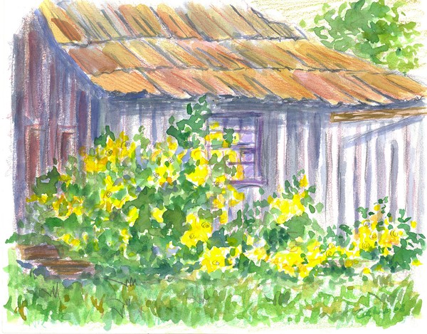 Mark Twain's Cabin