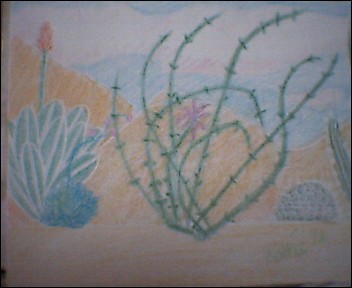 In The Desert