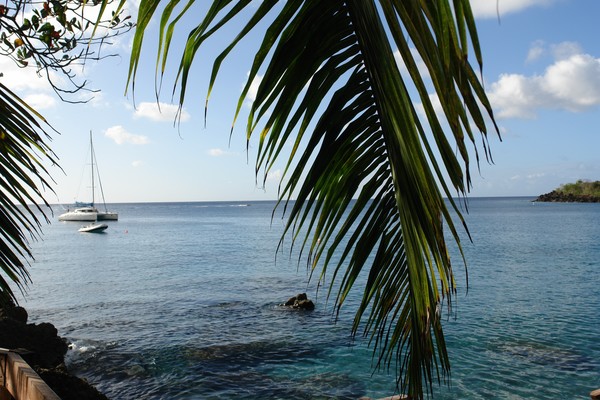my honeymoon trip