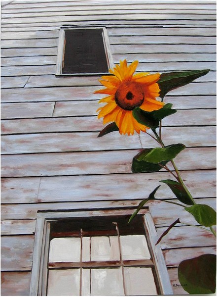 Sunflower