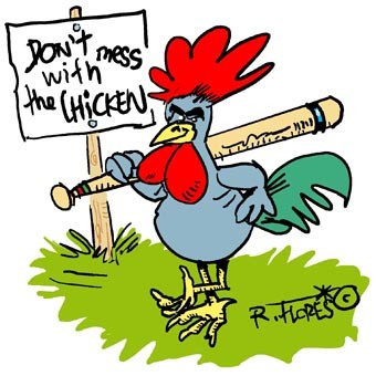 Beware of the chicken!