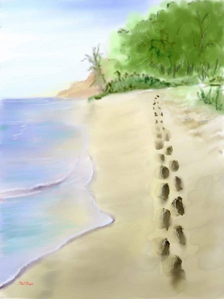 sand and sea